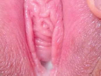 horny_moly webcam model stream image