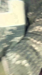 Danyblack1985 webcam model stream image