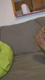 Pareja_81 webcam cam4 model stream image