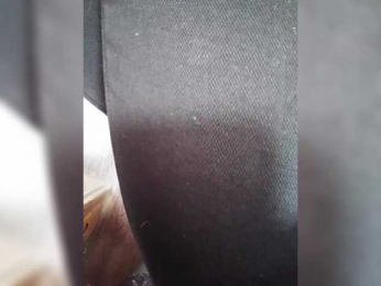 KlientVsegdaPrav webcam model stream image