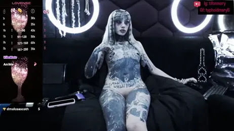TyphoidMary webcam model stream image