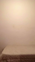 Soyotelo webcam model stream image