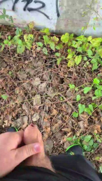 ALEXRED86 webcam model stream image