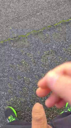 ALEXRED86 webcam model stream image