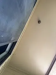 Bbyboyivan webcam model stream image