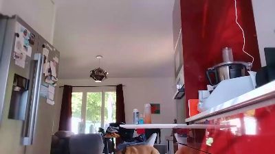 Ribeiro33240 webcam cam4 model stream image