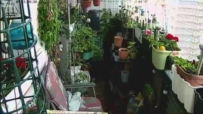 sweetnude83 webcam model stream image