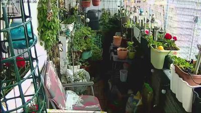 sweetnude83 webcam model stream image