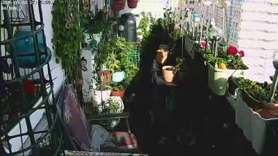 sweetnude83 webcam model stream image