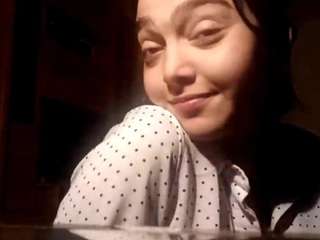 somerswarthout webcam model stream image