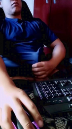 Dhs4201 webcam model stream image