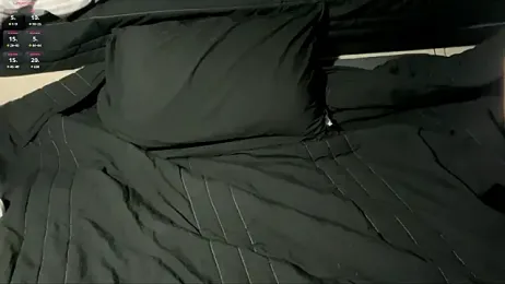 os_bin_ webcam model stream image