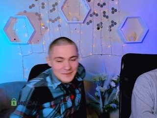 louis-tiger webcam model stream image