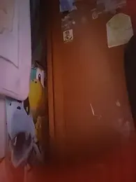 Emma_47 webcam preview