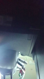 Porcland webcam model stream image