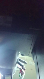 Porcland webcam model stream image