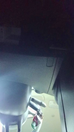 Porcland webcam model stream image