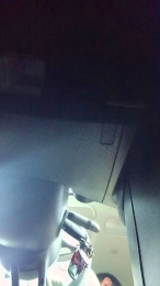 Porcland webcam model stream image