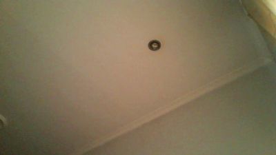 MorenoSamuel webcam model stream image