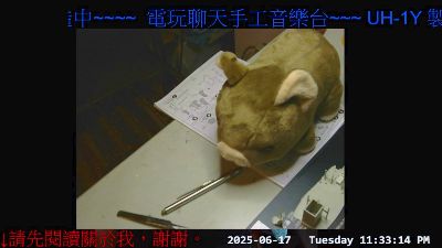 gwkk206081 webcam cam4 model stream image