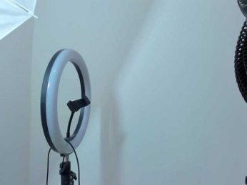 gatica-cat webcam model stream image
