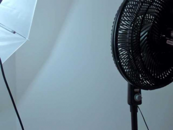 gatica-cat webcam model stream image