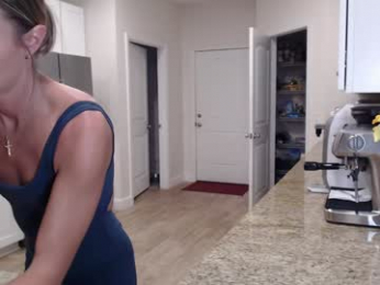 holihurricane webcam model stream image