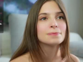 sonyaericsson webcam model stream image