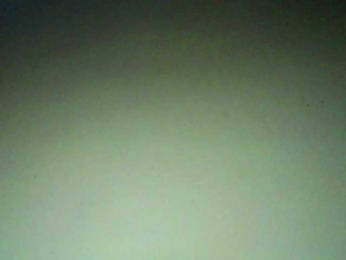 Nelliesexy webcam model stream image