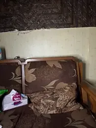 AL-Diva webcam model stream image