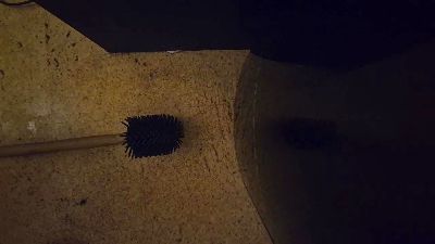 Grqvekeeper webcam model stream image