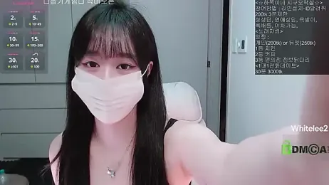 whitelee2 webcam model stream image