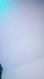 Donostipar webcam model stream image