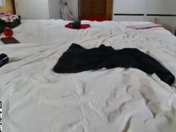 wild41 webcam chaturbate model stream image