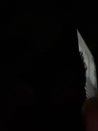 3ROTIC_3XOTiC_FIR3 webcam model stream image