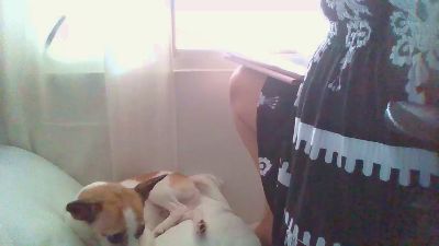 Sweetasian74 webcam model stream image