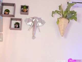 brahm-belial webcam model stream image