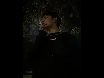 Blum_icee webcam model stream image
