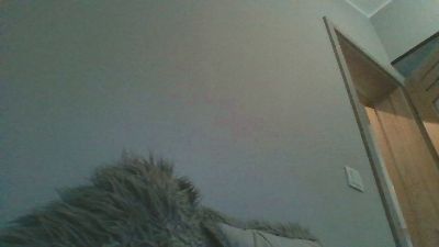 sarawild webcam model stream image