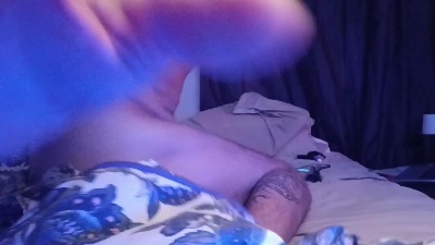 C_money1981 webcam model stream image