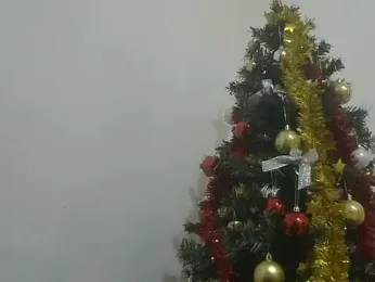 swallow_taboo webcam model stream image