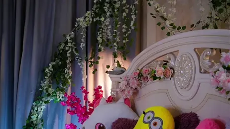 EdlinAlliston webcam model stream image