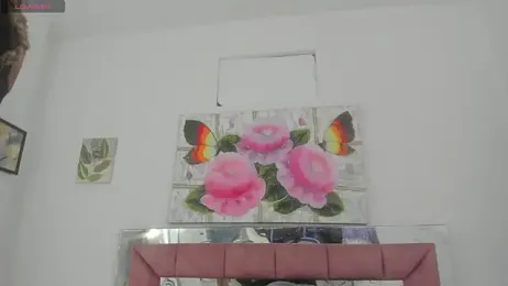 barbie_ds webcam model stream image