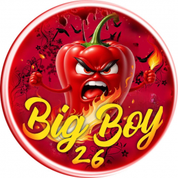 bigboycock26 webcam model stream image