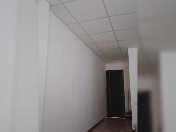EK25 webcam model stream image