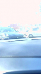 Cricha webcam model stream image