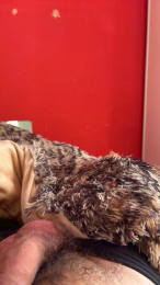 adrien1986sexy webcam model stream image