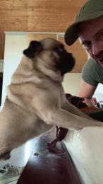 scchaud71 webcam model stream image