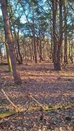 hotbody18y webcam cam4 model stream image