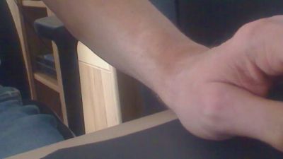 Hohlb webcam model stream image